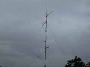 Pineapple Farm Antennas 1