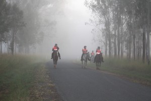 Tom Quilty Endurance Horse Ride - Kilkivan