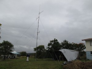 Pineapple Farm Antennas
